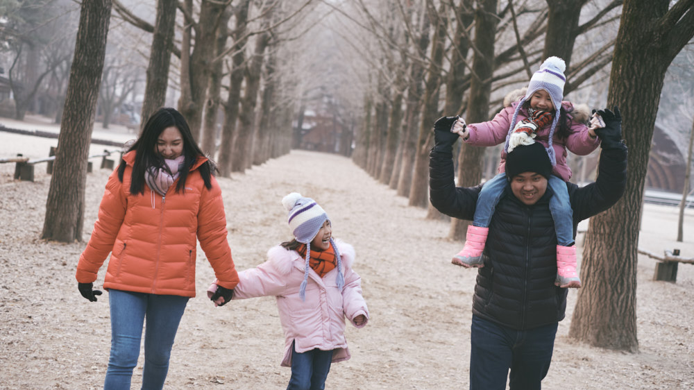 Gingko Avenue Family Photo Nami Island