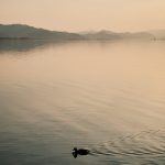 Duck and Sunset - Yansuri Cycling Path