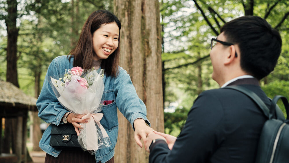 Nami Island Proposal