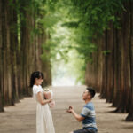 Nami Island Metasequoia Lane Proposal Photography