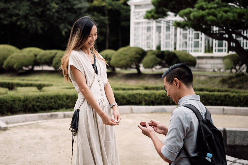 Changgyeonggung Proposal, Seoul