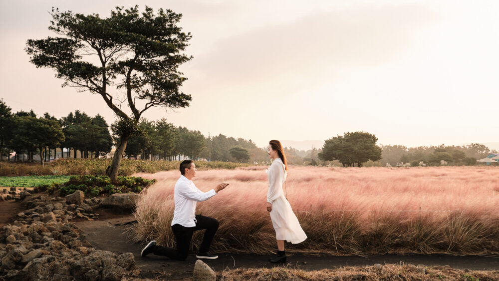 Pink Muhly Proposal, Jeju Island, Korea