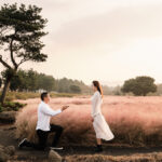 Pink Muhly Proposal, Jeju Island, Korea