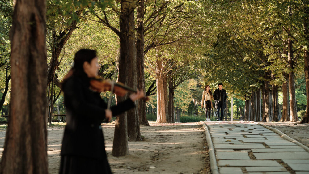 Violinist Proposal, Seoul Forest, Korea