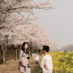 Cherry Blossom Proposal - Jeju Island, Korea