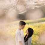 Jeju Island Engagement Photos - Cherry Blossoms and Rapeseed Flowers